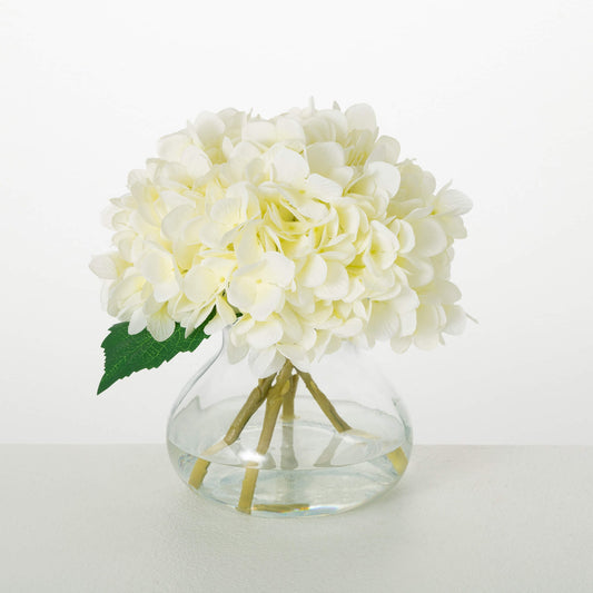 Potted Floral Hydrangea White