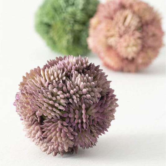 Sedum Orb Set of 3