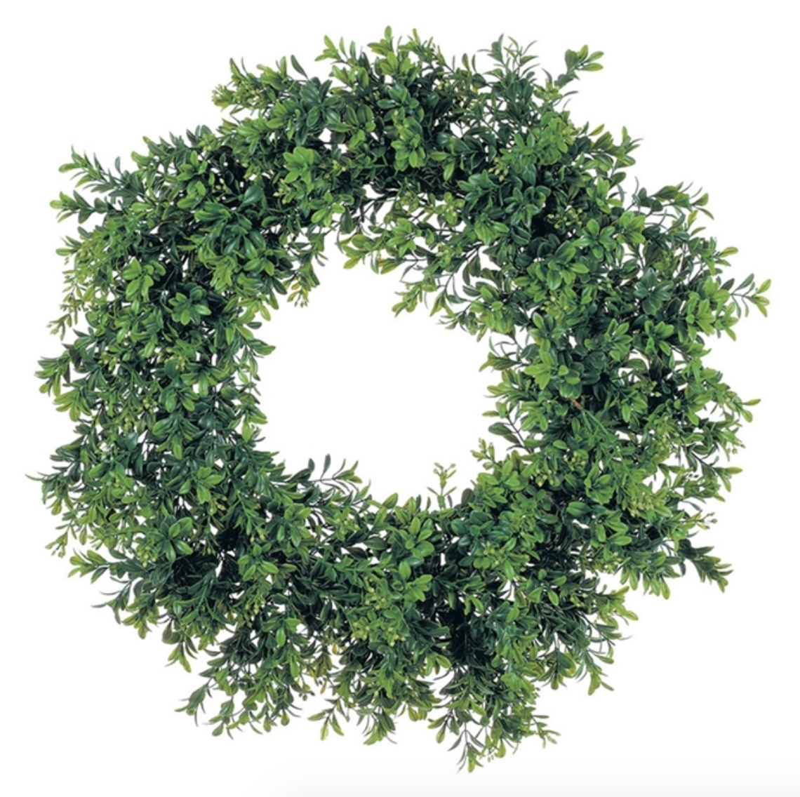 Wreath Boxwood 20"
