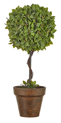 Boxwood Potted Topiary Large