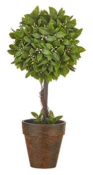 Boxwood Potted Topiary Small