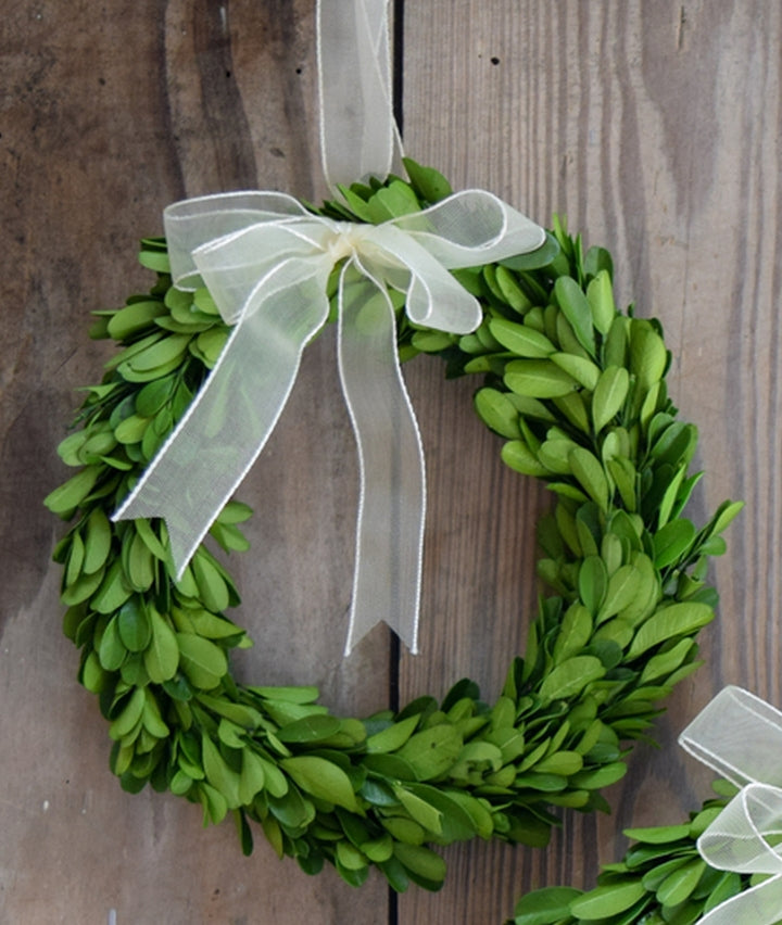 Wreath Boxwood with Ribbon 8"