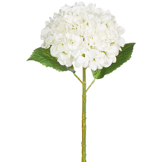 Stem Hydrangea White
