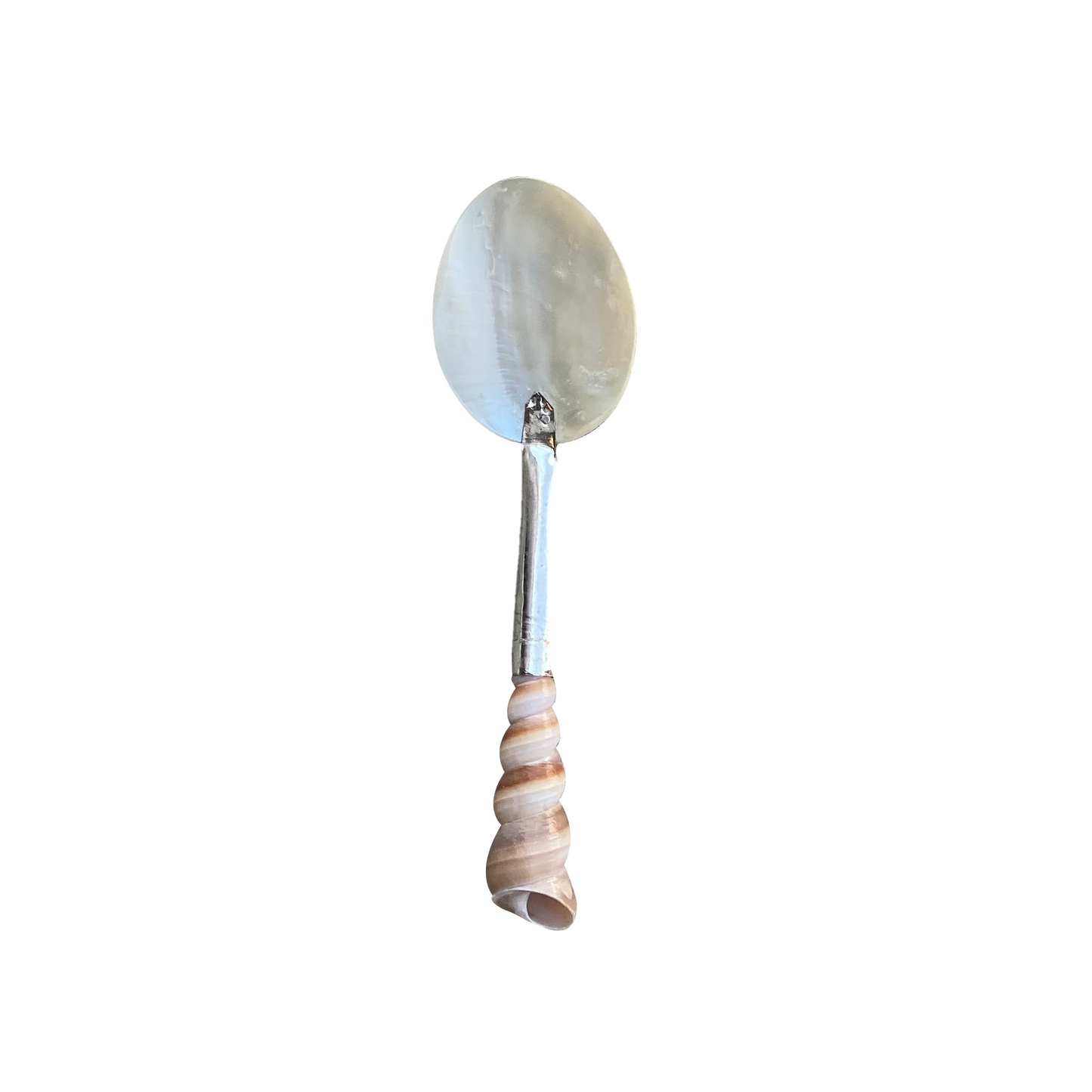 Spoon Turitella Handle Mother of Pearl