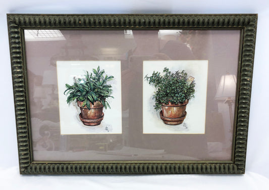 Framed Set of Herb Art Prints