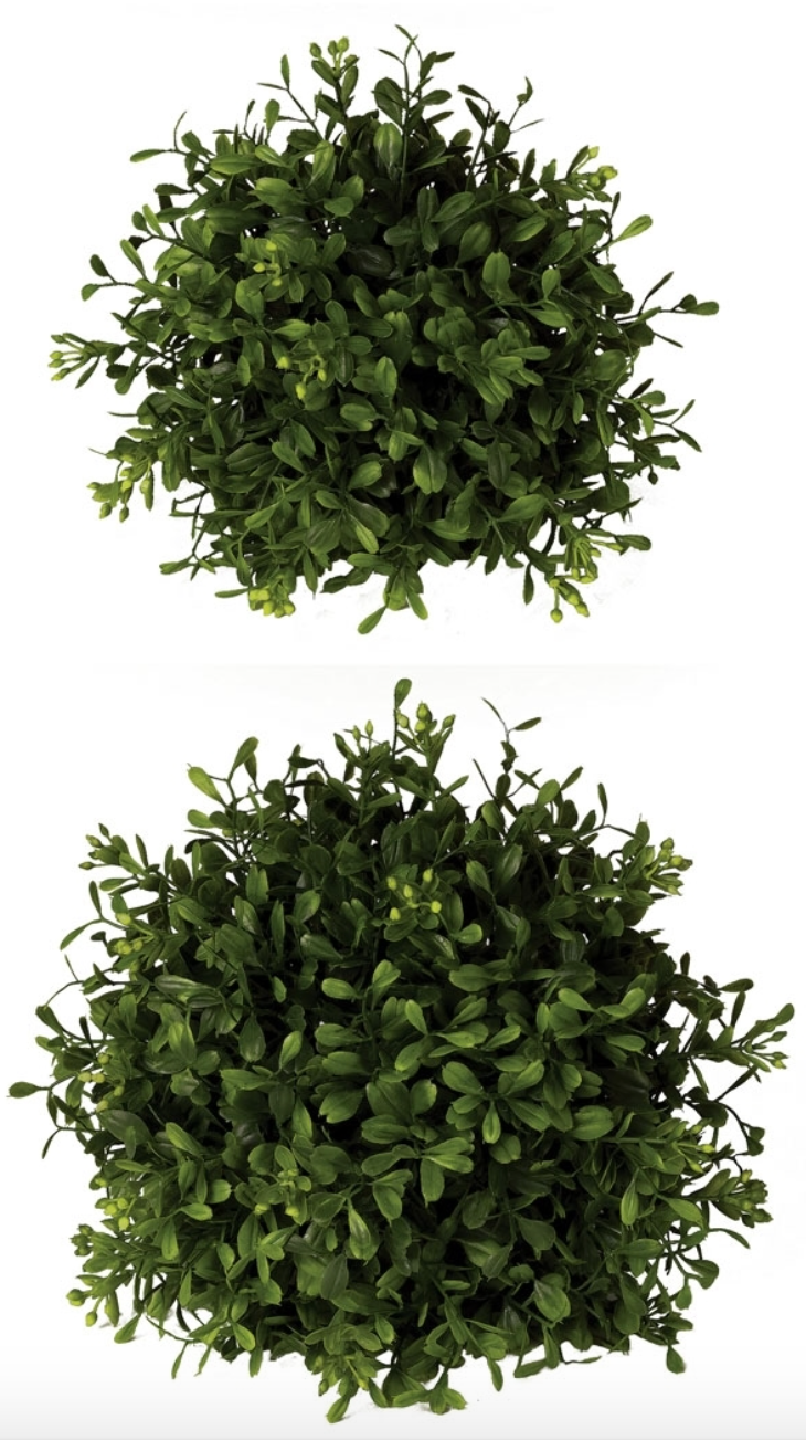 Boxwood Orb