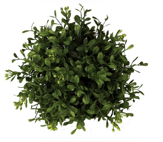 Boxwood Orb