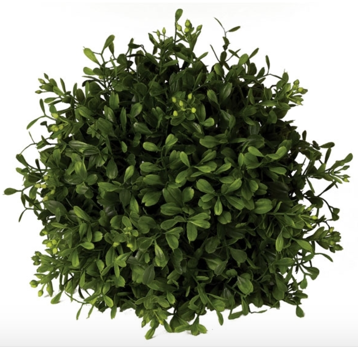 Boxwood Orb