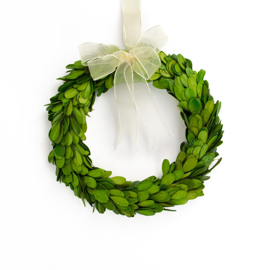 Wreath Boxwood Ribbon 8"