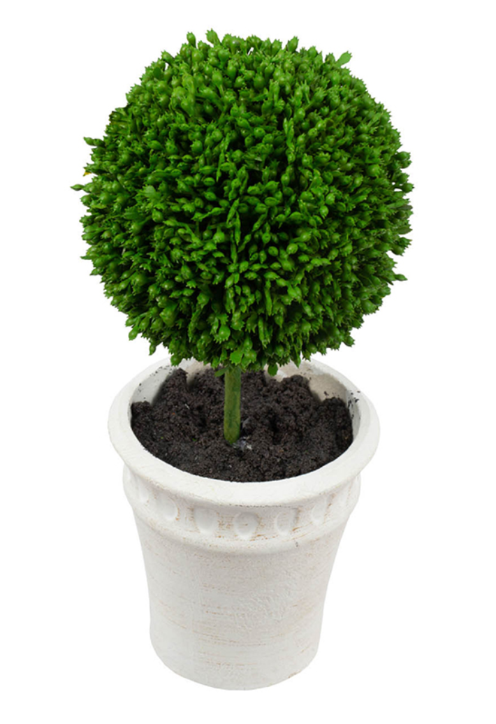 Topiary Faux Boxwood Mini