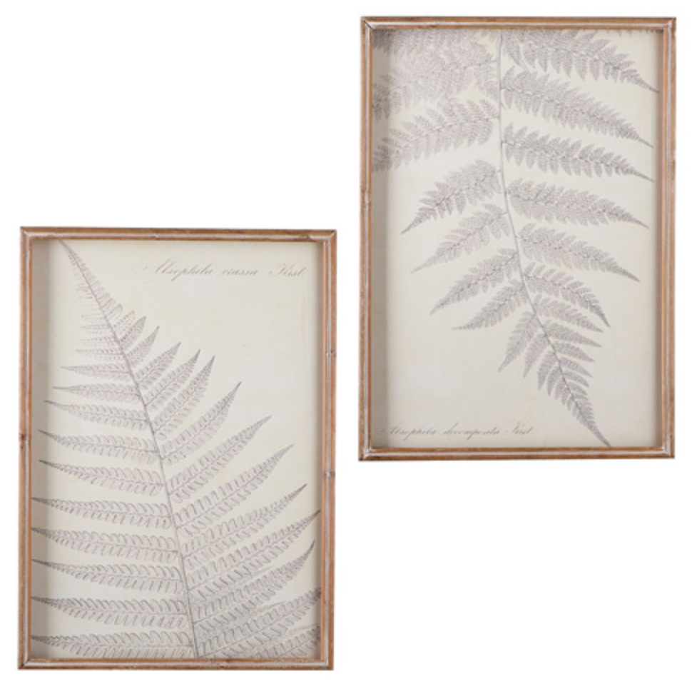 Fern Shadowbox Wall Art