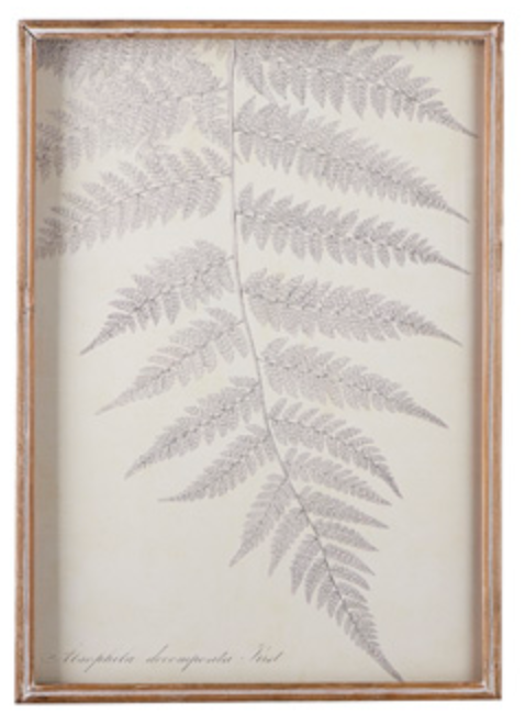 Fern Shadowbox Wall Art