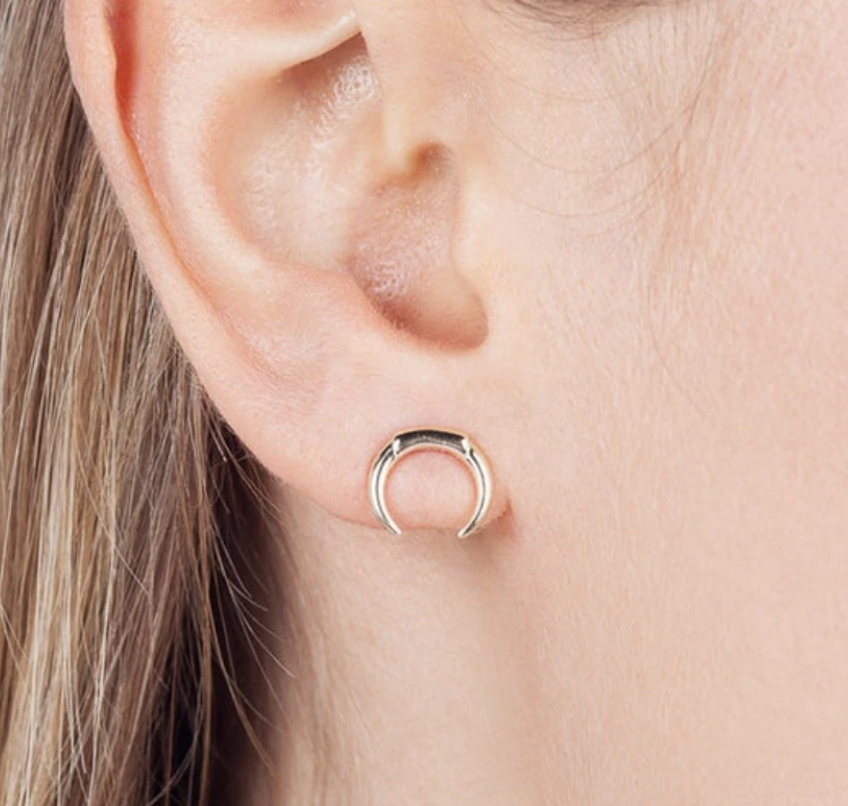 Double Horn Earrings