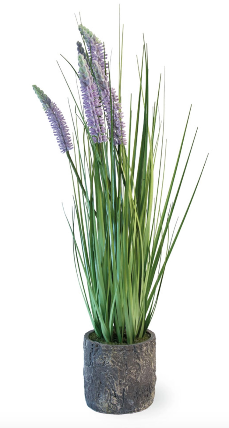 Potted Lavender Grass