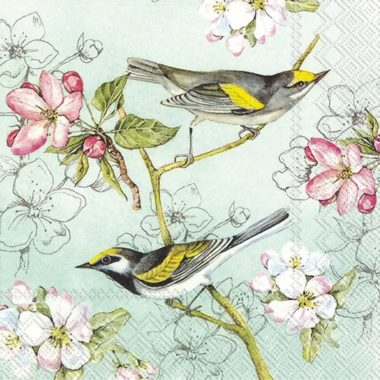 Cocktail Napkins Birds Symphony Green