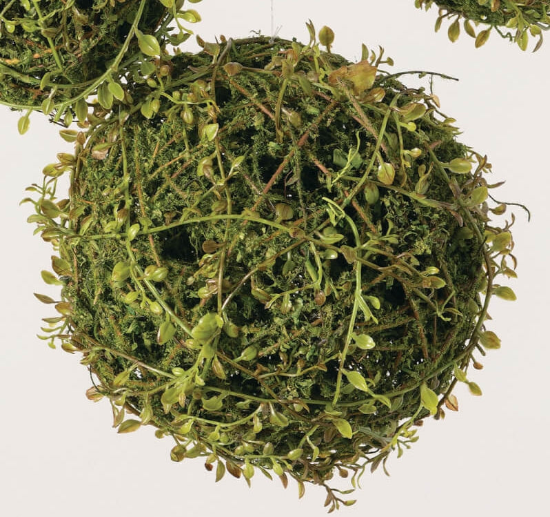 Orb Mossy- Large